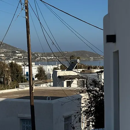 Nest ناوسا